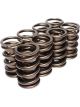 COMP Cams Valve Springs For 984-975