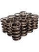 COMP Cams Valve Springs 1.400in 2 Spring