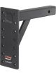 Curt Adjustable Pintle Mount 2in Shank 10000lbs 13in High 12in Long