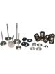 Ferrea For 12-15 Scion/Subaru FR-S/BRZ Dual Spring Kit