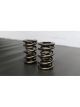 Ferrea 1.650in to 1.600in .885/1.20/1.65 OD .645/.885/1.20 ID Triple Sp…