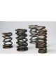 Ferrea 1.600in to 1.650in Dia 1.080/1.625 OD 0.767/1.189 ID Dual w/Damp…
