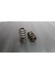 Ferrea For Chevrolet LS1/LT1 Single Beehive PAC Alloy Valve Spring Sin…