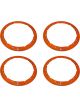 Ford Racing For 2017-2018 Raptor Bead Lock Wheel Trim Ring Set Or