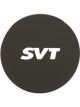 Ford Racing SVT Center Cap