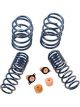 Ford Racing For 2012-2013 BOSS 302 Lowering Springs