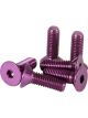 NRG Steering Wheel Screw Upgrade Kit Conical Purple