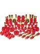 Prothane For 70-73 Datsun 240Z Total Kit Red