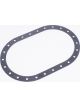 Radium Engineering Fuel Cell Gasket 6X10 24-Bolt