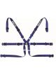 Sparco BELT 6 PNT 2in FORMULA BLU