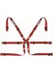 Sparco BELT 6 PNT 2in FORMULA RED