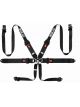 Sparco BELT 6 PNT 3 to 2in HANS Aluminum