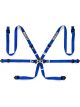 Sparco Belt 6 Pnt 2in Pd Blue