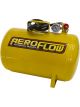 Aeroflow 5 Gallon Portable Air Tank 125 PSI With Valve, Line & Gauge