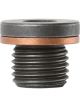 Tridon Sump Plug