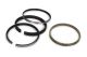 Hastings Piston Rings 4.020