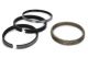 Hastings Piston Rings 3.665