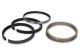 Hastings Piston Rings 3.770