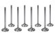 Manley Exhaust Valve Street Master 1.880