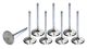 Manley Intake Valve 2.100