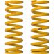 King Springs Coil Spring For Ford Raptor