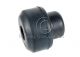 Mackay Leaf Spring Bush