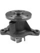 Protex Water Pump
