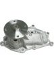 Protex Water Pump