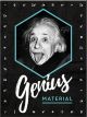 Nostalgic-Art Licensed Product Magnet Einstein Genius 6cm L x 8cm W