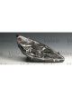 Valeo Headlight w/o Servo Motor Right Low Beam D2RGas Discharge Tube