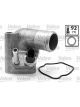 Valeo Thermostat Coolant