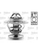 Valeo Thermostat Coolant