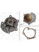 Valeo Water Pump