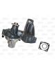 Valeo Water Pump