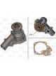 Valeo Water Pump