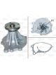 Valeo Water Pump
