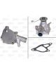Valeo Water Pump