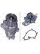 Valeo Water Pump