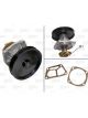 Valeo Water Pump Including Cover V-Ribbed Belt Pulley