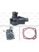 Valeo Water Pump Engine Cooling