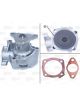 Valeo Water Pump Engine Cooling
