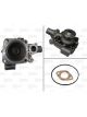 Valeo Water Pump Engine Cooling