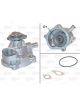 Valeo Water Pump Engine Cooling