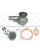 Valeo Water Pump Engine Cooling