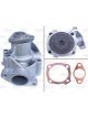 Valeo Water Pump Engine Cooling