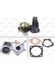 Valeo Water Pump Engine Cooling