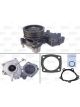 Valeo Water Pump Including Cover with Belt Pulley with Gaskets/Seals