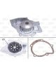 Valeo Water Pump Engine Cooling