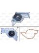 Valeo Water Pump Engine Cooling
