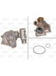 Valeo Water Pump